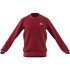 Moletom adidas Homem Feelcozy Escarl