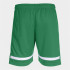 calça Futebol Joma homem de Tóquio Verde Branco Verde Branco Verde Branco Verde Branco