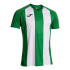 Camiseta Futebol Joma homem de Inter Iv Verde Branco Verde Verde Verde Verde Branco