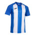 Camiseta futebol Joma Homem de Classic II Royal
