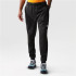 Calça The North Face Homem Jogger Reaxion Preto