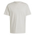 Camiseta adidas Homem Todos Szn Bege