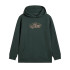 Moletom Vans Off The Wall Board Pu Green Gables Menino
