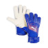 Luvas de PorteroFutebol de Puma Ultra Play Rc