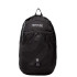 Mochila Regatta Bedabase II 15L Preto