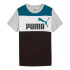 Camiseta Casual Bloco Puma Ess Menino