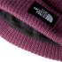Boné Montanha The North Face de Salty Lined Midnight Mauve