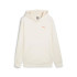 Moletom Homem Camisola com capuz Puma Better Sportswear Bege