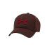 Boné Under Armour Homem Blitzing Brown