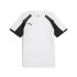 Camiseta Futebol camisola Puma Individualliga Homem