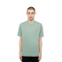 Camiseta Dickies T-shirt Ss Mapleton Verde Iceberg Homem