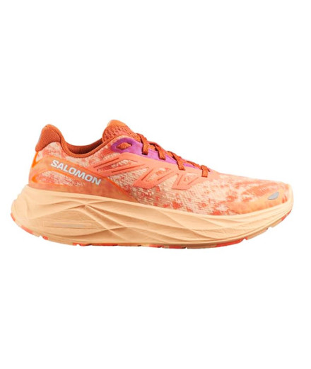 Sapatilhas Salomon X Ultra 360 Ltr Gtx Grisai/Caramel...