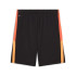 Calça de Futebol Puma Individualliga Train Homem Preto
