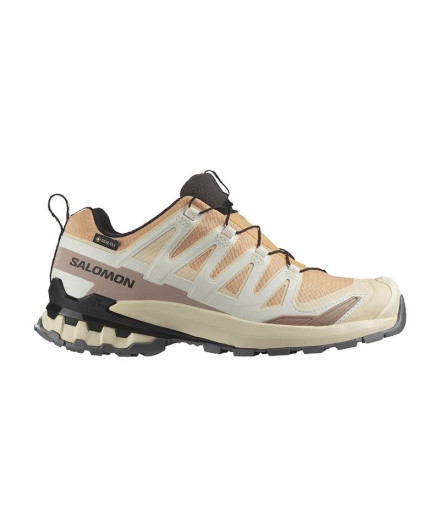 Sapatilhas de trail Salomon Baixo XA Pro 3 V9 GTX Bege