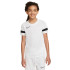 Nike Camisola de futebol Dri-FIT Academy