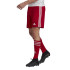Calça de Futebol adidas Squad 21 Homem